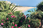Fuerteventura kis